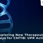 Exploring New Therapeutic Pathways for CMT1B: UPR Activation