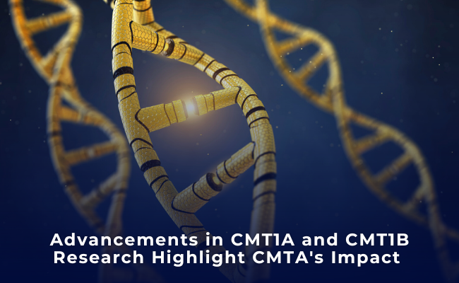 Advances in CMT1A and CMT1B Research Through CMTA Support