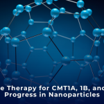 Gene Therapy for CMT1A, 1B, and X1: Progress in Nanoparticles