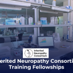 CMTA-INC Strategic Alliance Announces the 2025 Inherited Neuropathy Fellowship