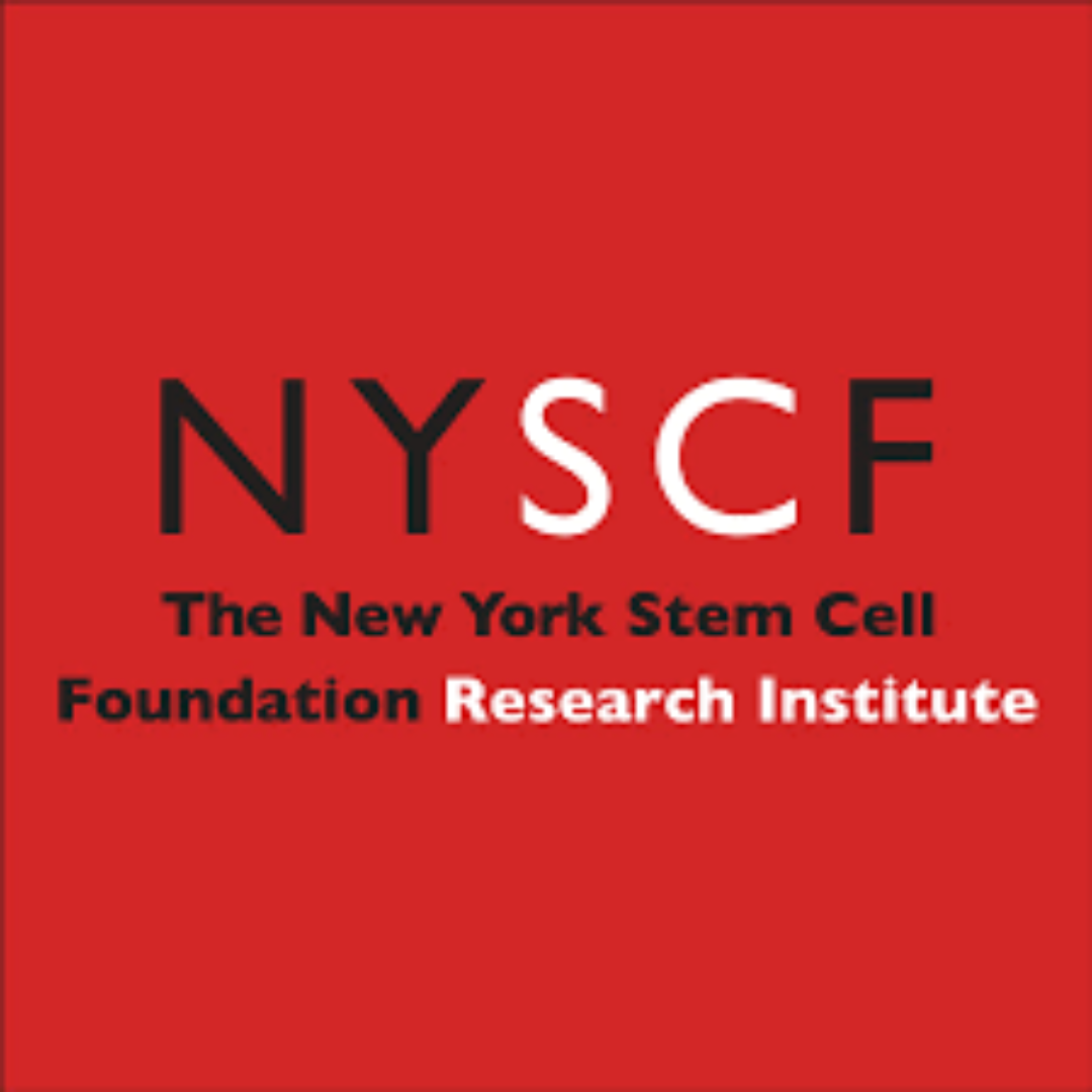 NY Stem Cell Foundation