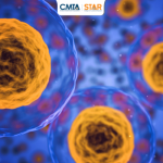 CMTA Fuels Breakthrough Imaging Research to Address CMT2A’s Cellular Weakness